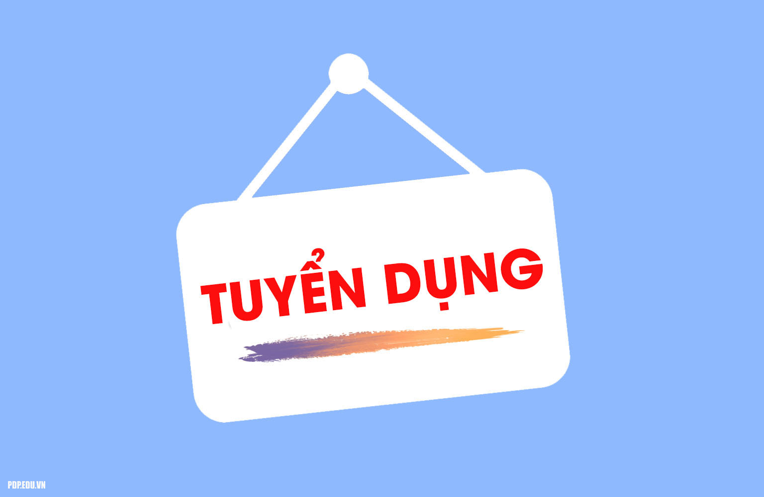 DTSVN Recruitment: Project Manager