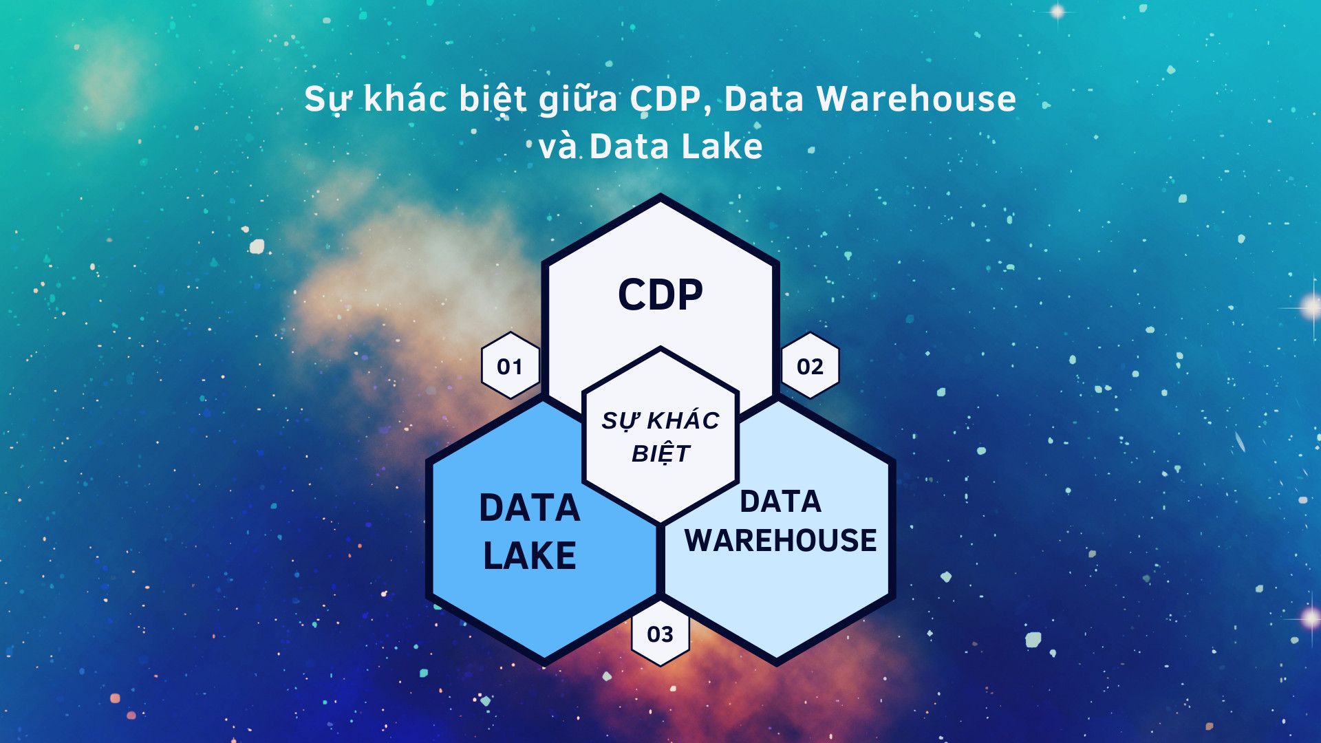 Sự khác biệt giữa CDP, Data Warehouse và Data Lake