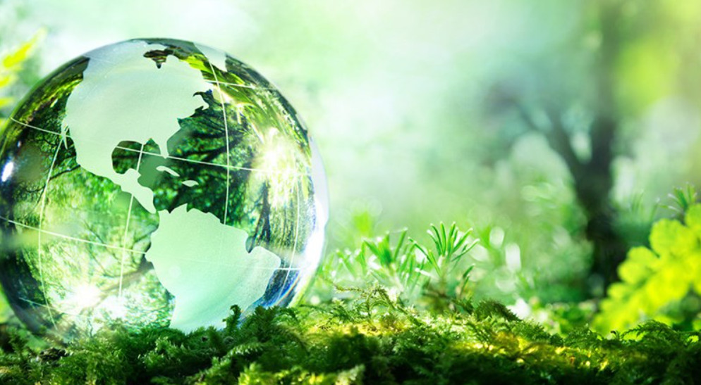 Green Finance in Focus: Investing in a Sustainable and Profitable Tomorrow