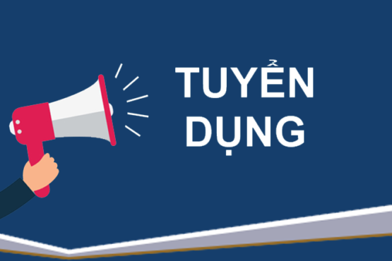 DTSVN Recruitment: Sales Support